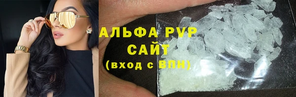 стафф Алзамай