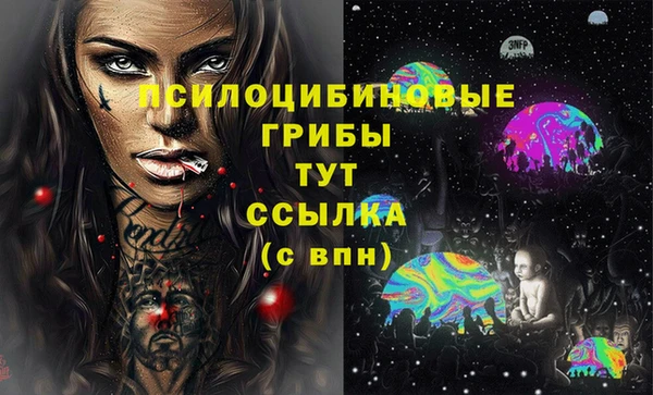 стафф Алзамай