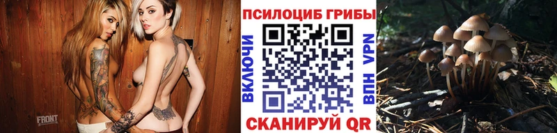 Галлюциногенные грибы GOLDEN TEACHER  Мензелинск 